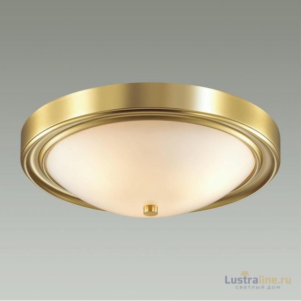 Настенно-потолочный светильник Lumion Vintage 5259/3C