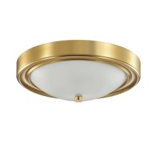 Настенно-потолочный светильник Lumion Vintage 5259/2C