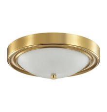 Настенно-потолочный светильник Lumion Vintage 5259/2C