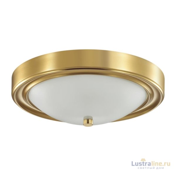 Настенно-потолочный светильник Lumion Vintage 5259/2C