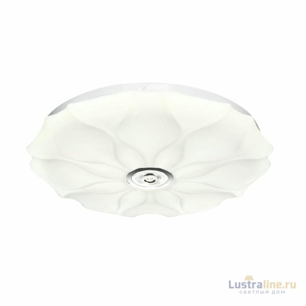 Настенно-потолочный светильник Sonex Pale Roni 7688/DL