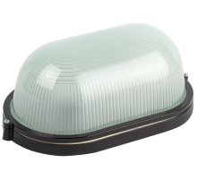 Настенно-потолочный светильник Эра НБП 04-100-001 черный Б0063863