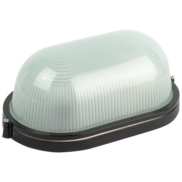 Настенно-потолочный светильник Эра НБП 04-100-001 черный Б0063863