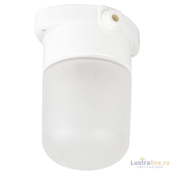 Настенно-потолочный светильник Эра НББ 02-60-001 Б0064005