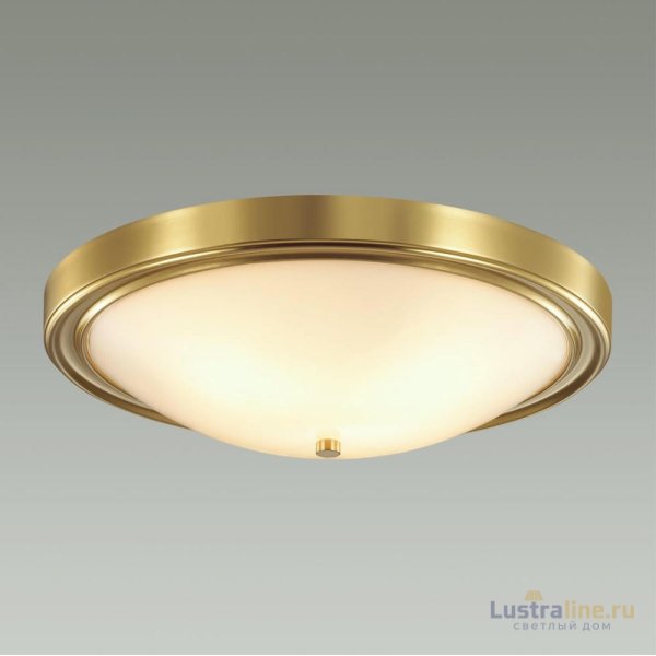 Настенно-потолочный светильник Lumion Vintage 5259/4C