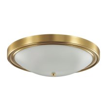 Настенно-потолочный светильник Lumion Vintage 5259/4C