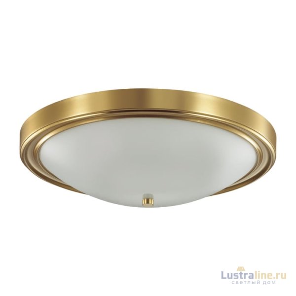 Настенно-потолочный светильник Lumion Vintage 5259/4C