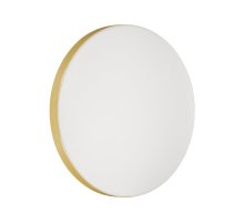 Настенно-потолочный светильник Sonex Smalli 3066/AL