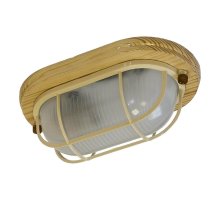 Настенно-потолочный светильник ЭРА НБО 04-60-012 Б0048417