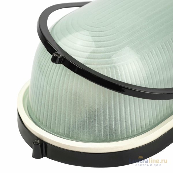 Настенно-потолочный светильник Эра НБП 04-100-001 черный Б0063863