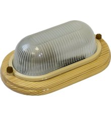 Настенно-потолочный светильник ЭРА НБО 04-60-011 Б0048031