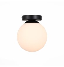 Настенно-потолочный светильник ST Luce Acini SL717.401.01