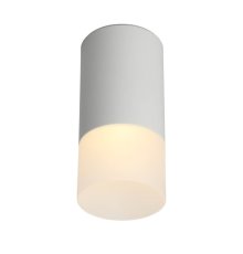 Потолочный светильник Omnilux Lucido OML-100609-01