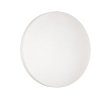 Настенно-потолочный светильник Sonex Smalli 3050/CL