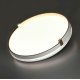 Настенно-потолочный светильник Sonex Olidi white 7646/EL