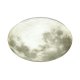 Настенно-потолочный светильник Sonex Moon 3084/DL
