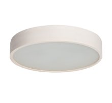 Настенно-потолочный светильник Kanlux Jasmin 470-W 23125