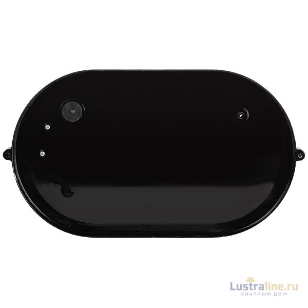 Настенно-потолочный светильник Эра НБП 04-100-001 черный Б0063863