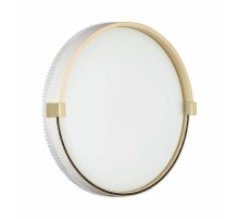 Настенно-потолочный светильник Sonex Olidi white 7646/CL