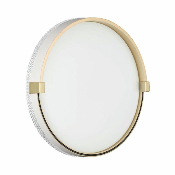 Настенно-потолочный светильник Sonex Olidi white 7646/CL