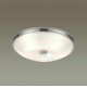 Настенно-потолочный светильник Odeon Light Pelow 4957/5
