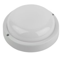 Настенно-потолочный светильник ЭРА SPB-201-2-65K-012 Б0047637