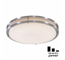 Настенно-потолочный светильник Citilux Бостон CL709501N