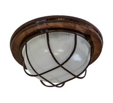 Настенно-потолочный светильник ЭРА НБО 03-60-022 Б0048416