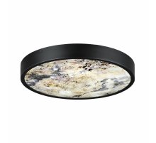 Настенно-потолочный светильник Odeon Light Bergi 5064/24L