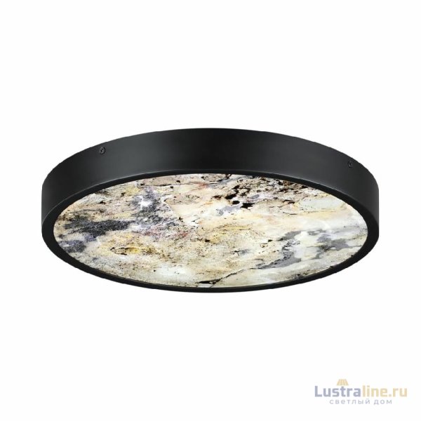 Настенно-потолочный светильник Odeon Light Bergi 5064/24L