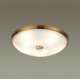 Настенно-потолочный светильник Odeon Light Pelow 4956/5