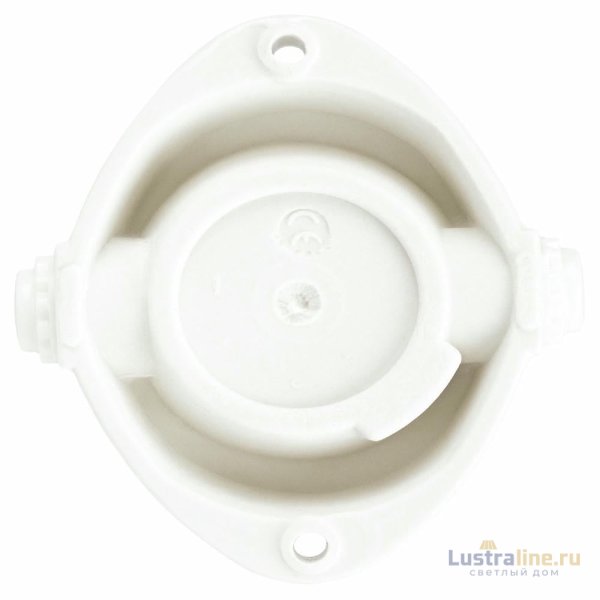 Настенно-потолочный светильник Эра НББ 02-60-001 Б0064005