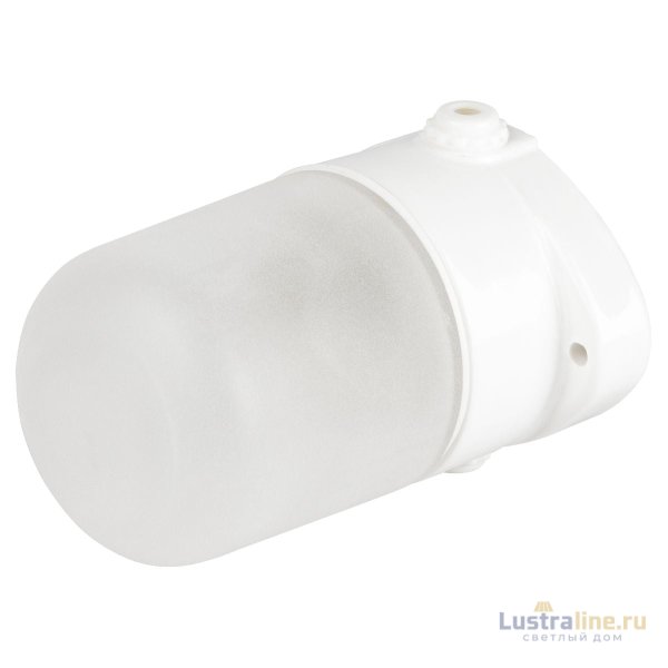 Настенно-потолочный светильник Эра НББ 02-60-001 Б0064005