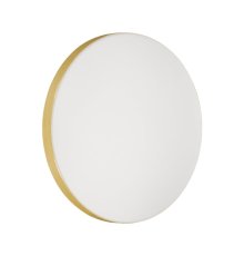 Настенно-потолочный светильник Sonex Smalli 3066/CL