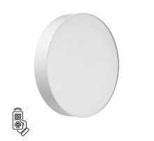 Настенно-потолочный светильник Sonex Basica Optima 7779/DL