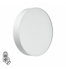 Настенно-потолочный светильник Sonex Basica Optima 7779/DL