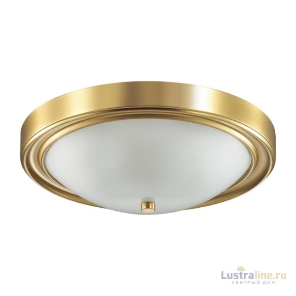 Настенно-потолочный светильник Lumion Vintage 5259/3C