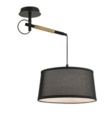 Настенно-потолочный светильник F-Promo Eureka 3006-1P