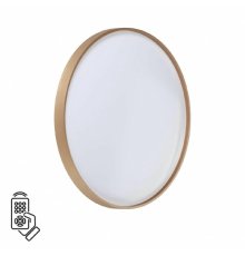 Настенно-потолочный светильник Sonex Tan Gaby 7783/EL