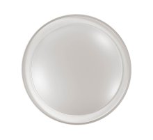 Настенно-потолочный светодиодный светильник Sonex Kabrio 2049/DL