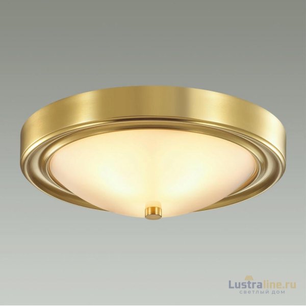 Настенно-потолочный светильник Lumion Vintage 5259/2C