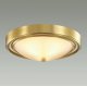 Настенно-потолочный светильник Lumion Vintage 5259/2C