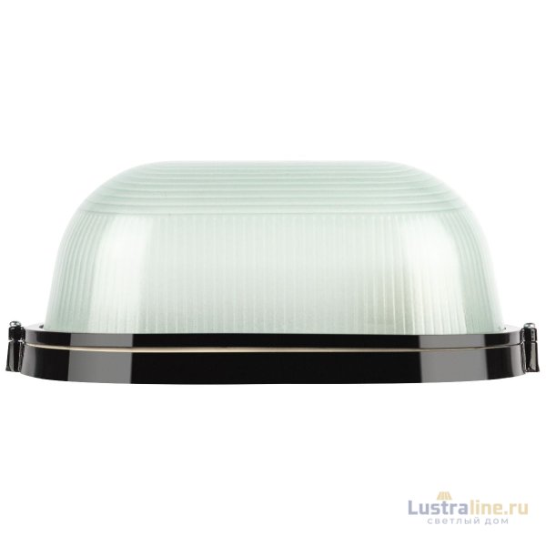 Настенно-потолочный светильник Эра НБП 04-100-001 черный Б0063863