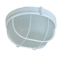 Настенно-потолочный светильник ЭРА НБП 03-60-002 Б0048421