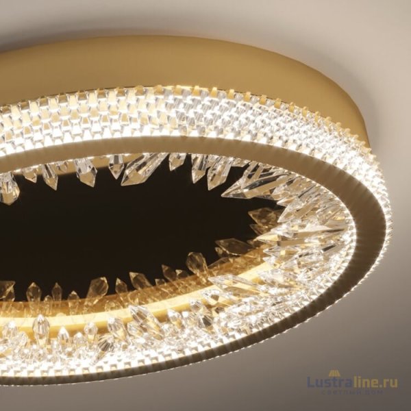 Настенно-потолочный светильник Delight Collection XD-50 gold Настенно-потолочный светильник Delight Collection XD-50 gold