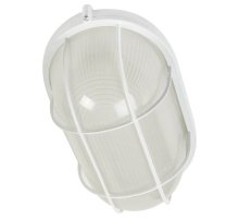 Настенно-потолочный светильник ЭРА НБП 04-60-002 Б0048425