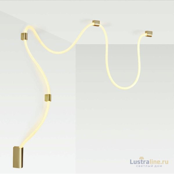 Настенно-потолочный светильник Odeon Light Corda 4397/30CL