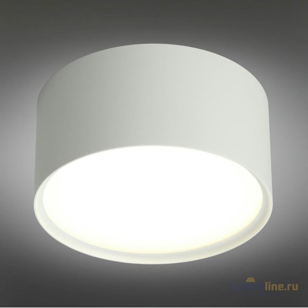 Потолочный светодиодный светильник Omnilux Salentino OML-100909-12 Потолочный светодиодный светильник Omnilux Salentino OML-100909-12