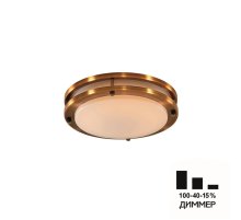 Настенно-потолочный светильник Citilux Бостон CL709203N