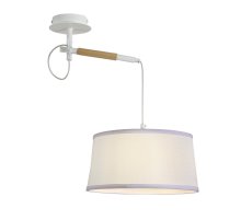 Настенно-потолочный светильник F-Promo Eureka 3005-1P